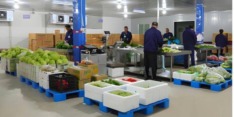广东农产品质量安全追溯平台：如何确保消费者手中的“放心菜”？