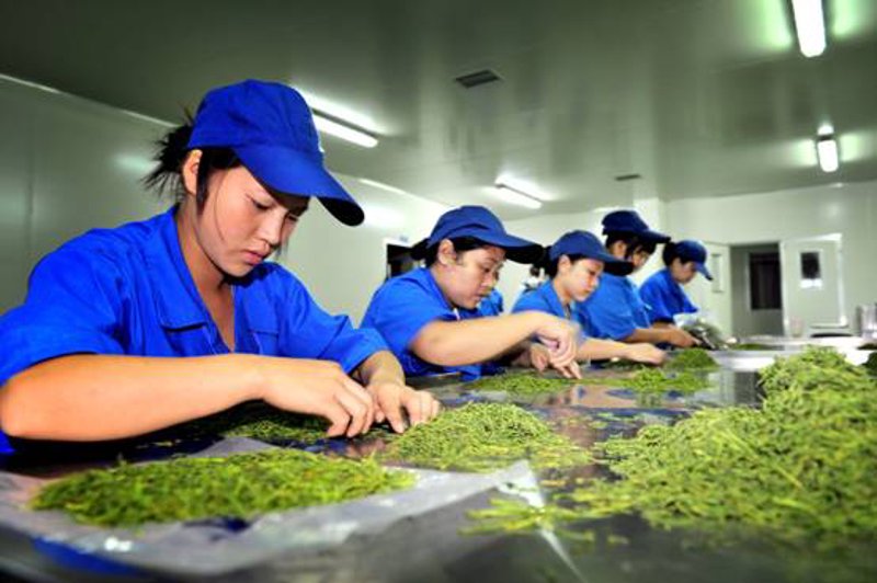 广东农产品质量安全追溯平台：如何确保舌尖上的安全