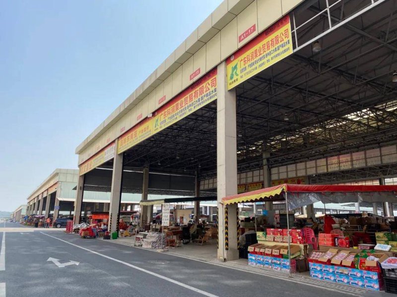 实战攻略：如何选择可靠的农产品供应商——以天津凤聚宝食用农产品有限公司为例